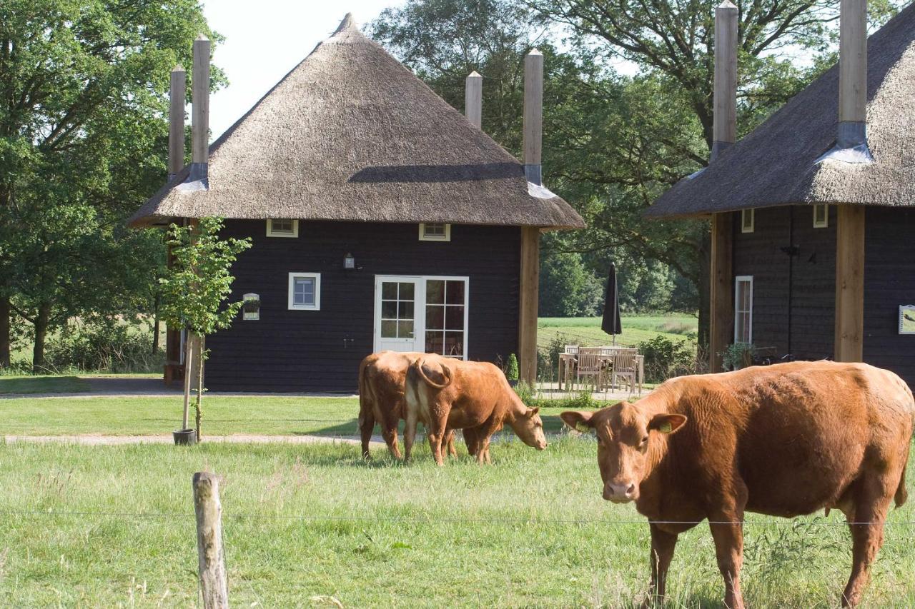 Erve Woolderink Villa Wierden Eksteriør bilde